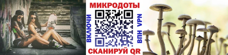 Галлюциногенные грибы прущие грибы  ОМГ ОМГ как войти  Кольчугино 